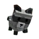 Racoon1