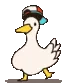 duckdance