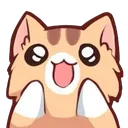 neko_expect