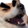 sheebBrowKek