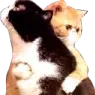 Hugs_T