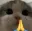 Sl_Catto_pray