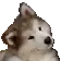doggowonder