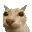 FakeNitroEmoji