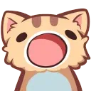 popcat