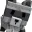 racoon