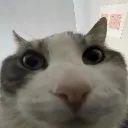 huh