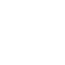 thecat