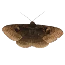 emoji_193
