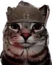 catwar