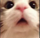wuh