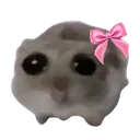 imjustagirl