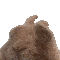 AL_yBunnyDance