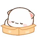 PeachFitsSoSits2
