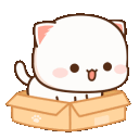 Discord Emote PeachFitsSoSpins: