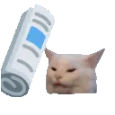 catBonk