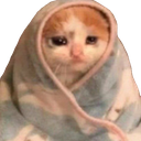 catinblanket Discord emoji