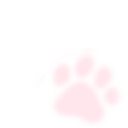 pawnbone