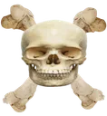 bigskull