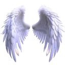 AngelWings