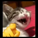 c47c4aa3ac4dd3d1d47288ac834e949d