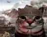 war war