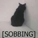 CatSobbing