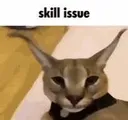 74894skillissue