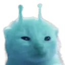 blorp