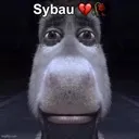 Sybau
