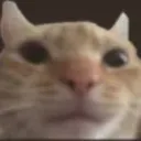 emoji_4