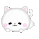 cuti