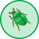 Bug