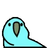parrot_party