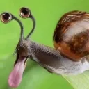 lelelelelalalalal