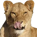 kibbysmug