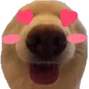 lovebert