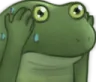 froge_notlikethis