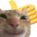 catthumbsup
