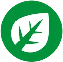 grass