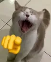 baha