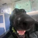 i_can_smell_you