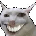 xd