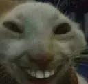 xdd