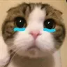 demn_sad