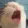 AAAA