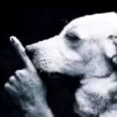 shh