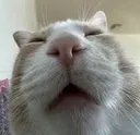 1_zzzzzzzz