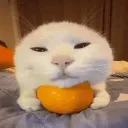 orang