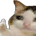 ok